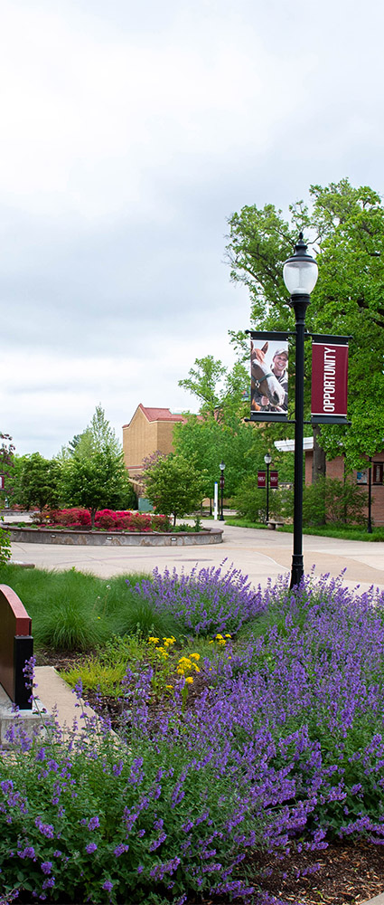 Campus Scholarships